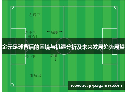 金元足球背后的困境与机遇分析及未来发展趋势展望