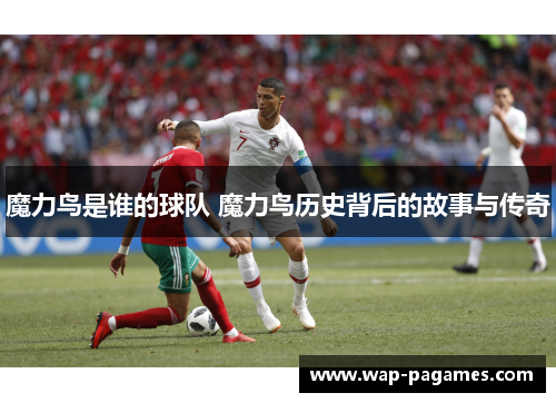 魔力鸟是谁的球队 魔力鸟历史背后的故事与传奇 魔力鸟是谁的球队 魔力鸟历史背后的故事与传奇