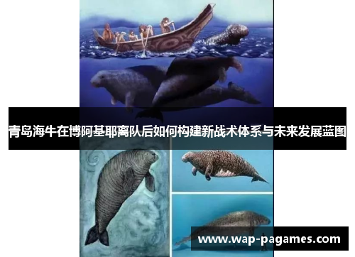 青岛海牛在博阿基耶离队后如何构建新战术体系与未来发展蓝图