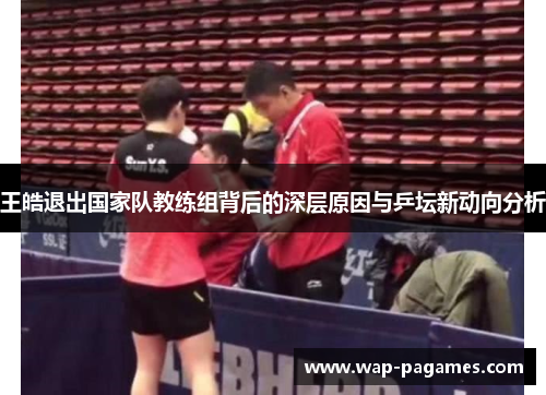 王皓退出国家队教练组背后的深层原因与乒坛新动向分析 王皓退出国家队教练组背后的深层原因与乒坛新动向分析