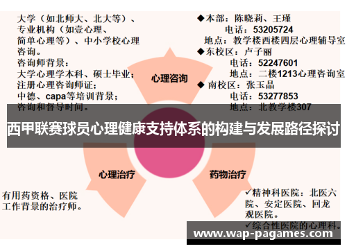西甲联赛球员心理健康支持体系的构建与发展路径探讨