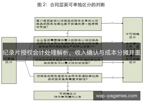 纪录片授权会计处理解析，收入确认与成本分摊并重